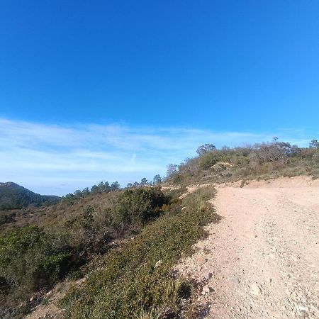 Victoria - Les Cles De L'Esterel 泰晤勒·苏尔·梅尔 外观 照片